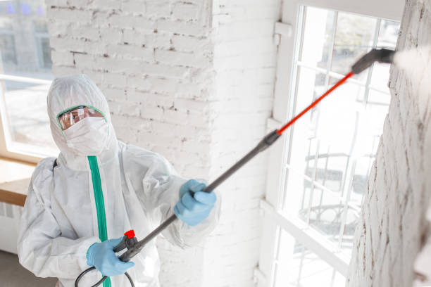 Best Crawl Space Mold Remediation  in Louisa, KY