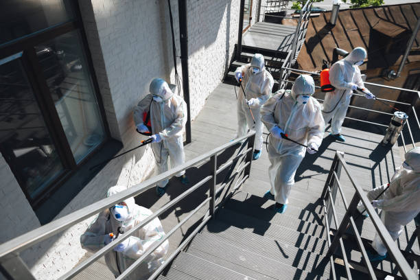 Best Mold Removal for HVAC Installations  in Louisa, KY