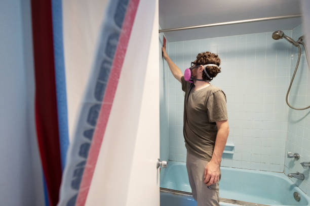 Best Environmental Consulting for Mold Prevention  in Louisa, KY