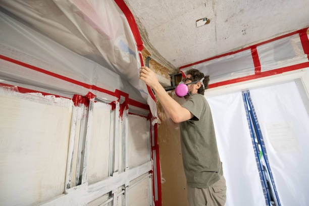 Best Post-Remediation Verification Testing  in Louisa, KY