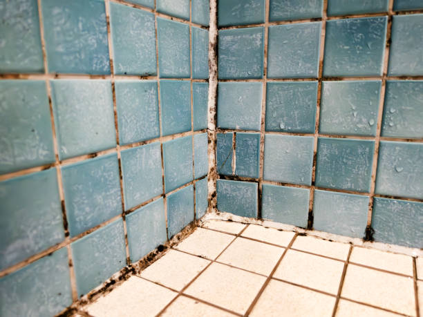 Best Forensic Mold Investigation  in Louisa, KY