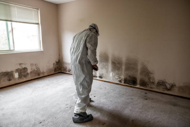 Best Air Quality Testing for Mold Spores  in Louisa, KY